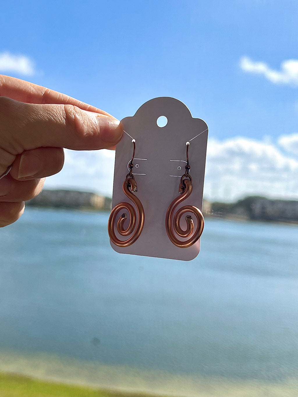 Swirl Dangle Earrings