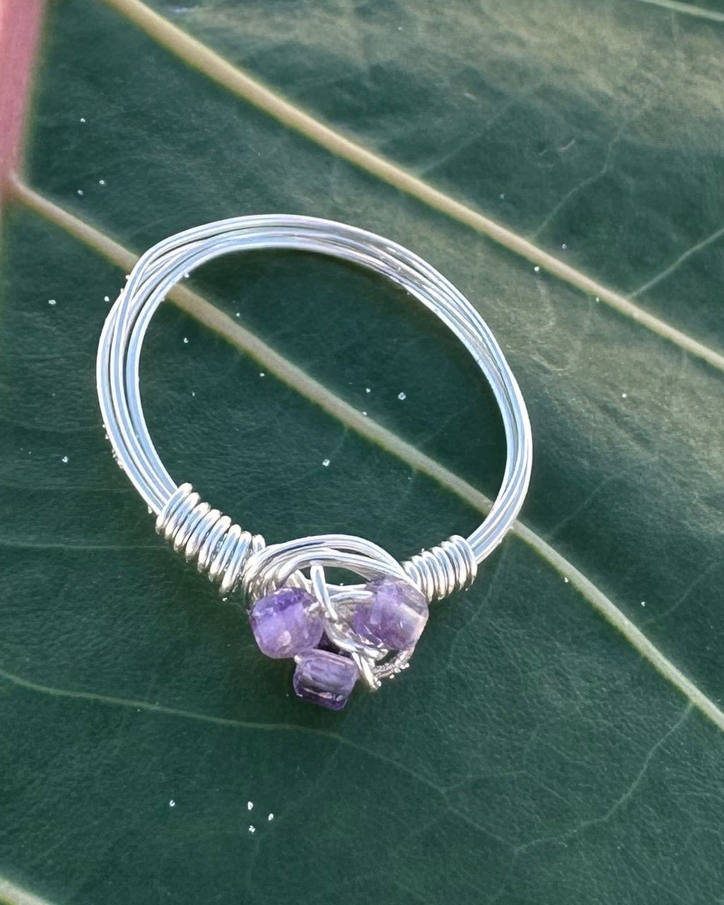 Silver ring with a purple gemstone on a large green leaf with a concrete background